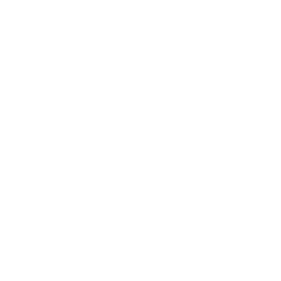 saint patrick.png