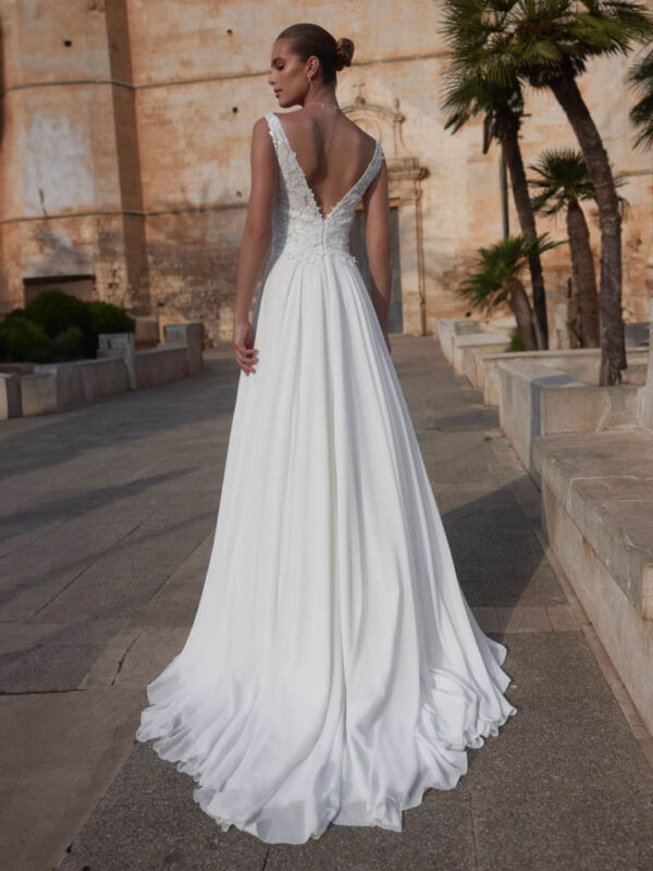 Camelia – Image 2